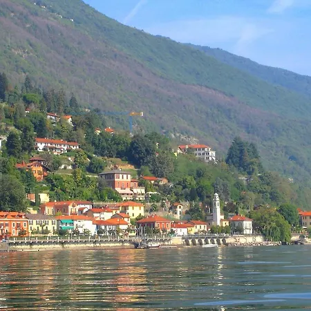 Selva 2